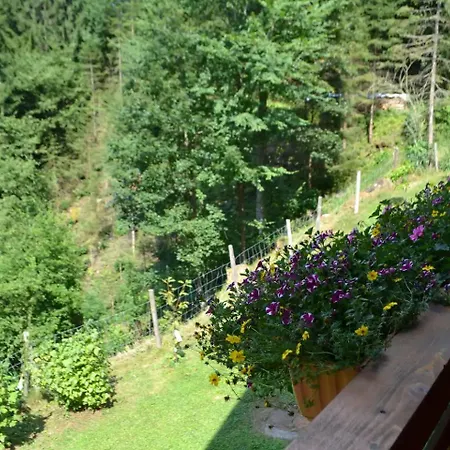 Waldenstein 1 *