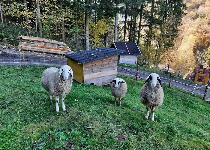 Waldenstein 1 Сasa de vacaciones